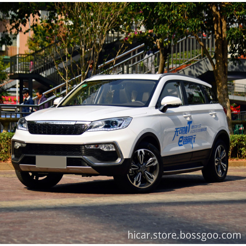 EverBright Hot Sale Electric Vehicle Electric CAR met uitstekende kwaliteit en goede prestaties